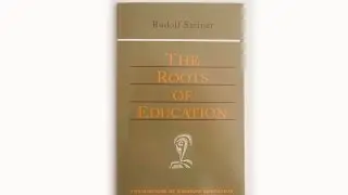 Review of Rudolf Steiner's 
