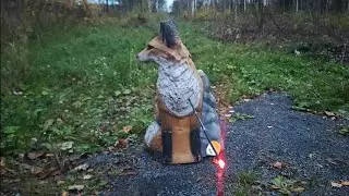 Josh Bowmar 105 yard coyote challenge