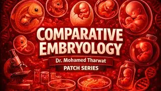 Comparative Embryology - Ectodermal derivatives - Development of olfactory organs