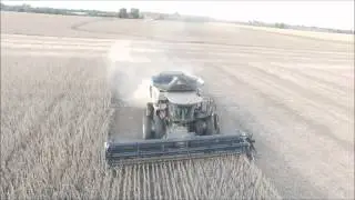 R66 Gleaner and 9250 Draper in Stine Twin 20 Beans