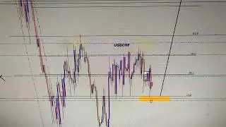 BIOTRADE LATINO...  visi&oacute;n forex Mediano plazo
