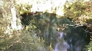 Bizarre Leon Sinks Geological Area near Tallassee, Florida