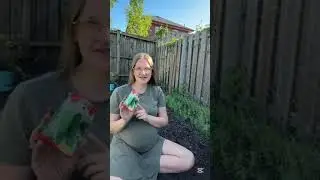 Cucumber Planting in Ontario - Victoria Day Weekend