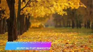 NEGATIV ORIGINAL ADRIANA STOICA-NU POT SA-TI UIT DRAGOSTEA