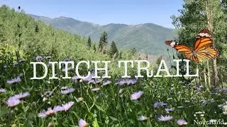 The Best of Colorado Snowmass Village Ditch Trail- Summer 2021 -  Hiking Nature wildlife