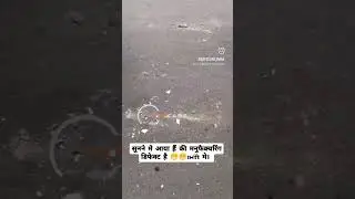 swift vs toyota etios