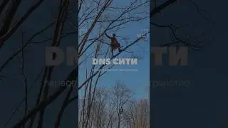 DNS City создание сквера #wood #arbo #стройка#dnscity#dns#arborist#arbopacific