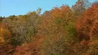Fall Colors of Illinois