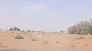 ከድር ዩቱብ ቻናል ቀጥታ ስርጭት ላይ ነው!