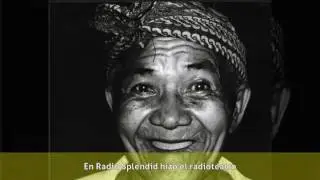 Graciela Lecube - Carrera