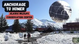 Driving from Anchorage to Homer, Alaska! | Alaska Wildlife Conservation Center