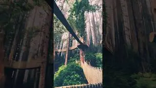 Canopy Trail! #shorts #outdoors