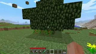 Mining out a cube in Beta 1.7.3