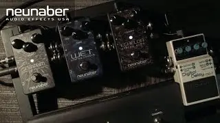 Neunaber Ambient Guitar Sounds | Wet Reverb