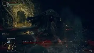 Elden Ring Assasind and Pumpkin