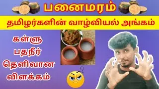 🌴 Palm tree in tamil | பனைமரத்தின் வரலாறு | palm tree | கள்ளு,பதனிர் | DOTCOM
