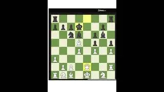 Chess game first win
