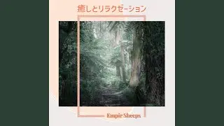Tranquility Path Serenade