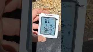 Don&rsquo;t Let Heat Kill Your Garden! 3 Pro Tips 🌿🔥 #shorts   #heatproofgarden #gardeningtips #gardening