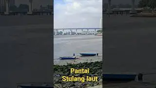 STULANG LAUT JOHOR MALAYSIA #shorts