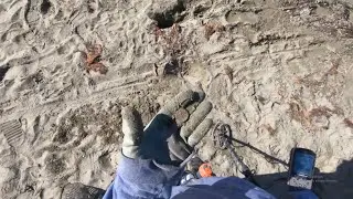 12 Mins of Metal Detecting - Saved By the Pine of Cone