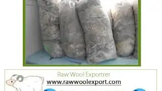 Australian Bulk Wool Exporter