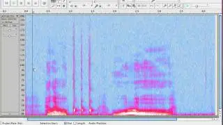 How to View the Spectrum in Audacity