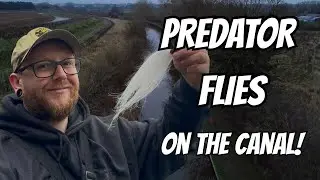 Another ADVENTURE Throwing Predator Flies On The Canal!