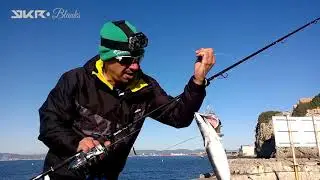 Shorejigging