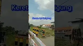 Kereta Api Kaligung Rute Cirebon Prujakan Hingga Semarang Poncol #keretaapi #kaligung #stasiuntegal