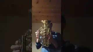 Probiers mal mit Gem&uuml;tlichkeit  zbh-800L travel reise tornister bariton zo littledragon posaunenchor