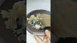 SOP IGA 