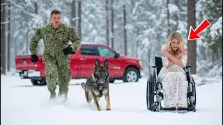 Navy SEAL and His Dog Rescue a Wheelchair Bride &mdash; Unaware She&rsquo;s a Billionaire in Disguise