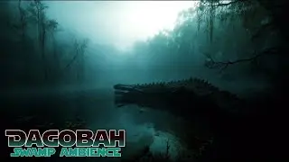 Journey Through the Dagobah Swamp | Immersive Relaxing Music & Ambience