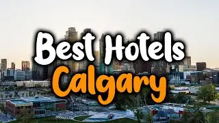 Best Hotels In Calgary - For Families, Couples, Work Trips, Luxury & Budget