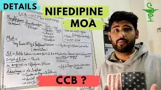 Nifedipine (CCB) Mechanism Of Action.. #drxPHARMACOLOGY