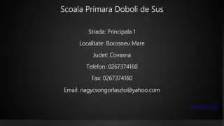 Scoala Primara Doboli de Sus Borosneu Mare
