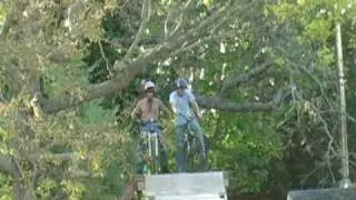 yard shred