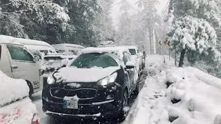 Murree Live Snowfall | Murree Live Today | Murree Snowfall 2024 | Murree weather today ⛄️ #murree