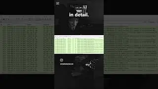 Network traffic analysis #cybersecurity#cybersec#ethicalhacking#cyperpunk#traficanalysis#engineering