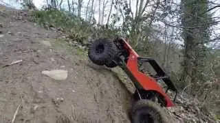 sortie scale en for&ecirc;t  par  