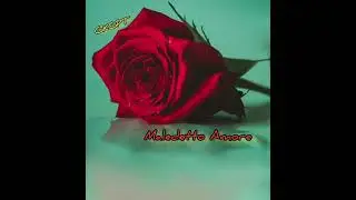 MALEDETTO AMORE   Genere Pop  Romantico          GKGPT