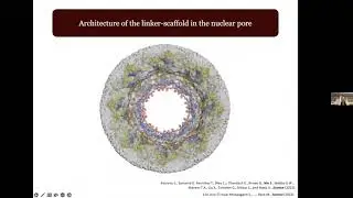 Neureport Vol.35 | Structure and function of the human nuclear pore complex