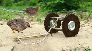 New To You ! Unique Technology Bird Trap | How to make bird trap