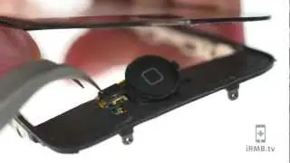 Home Button Flex Cable Repair - iPhone 3G & 3GS How to Tutorial