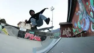 Simon Knoll - Jungle Files