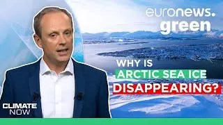 Why is Arctic ice getting younger and thinner?
