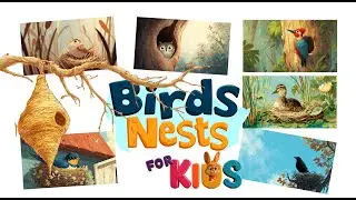 🐦✨ Birds and Their Nests for Kids! @KidsaiStudio05 #kidslearning #educationalvideo #birds names