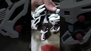 My ligerzero