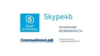 Skype for business, основные возможности